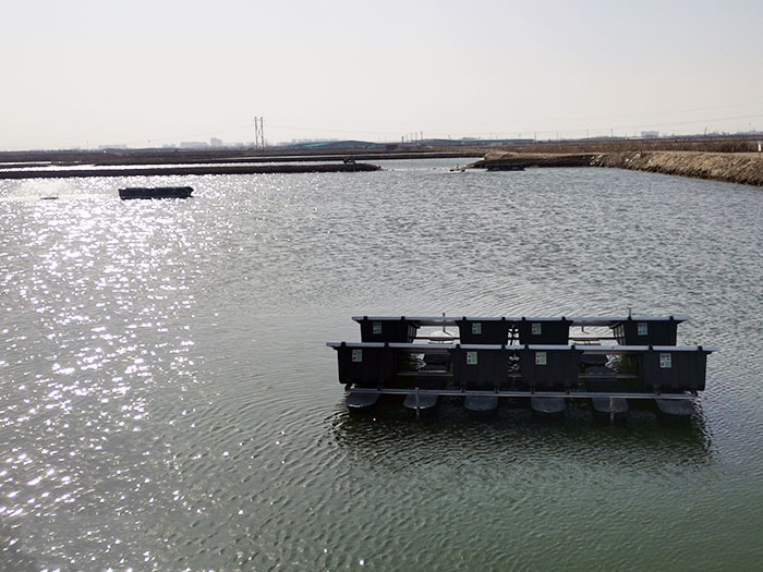 乐鱼体育app 下载：京宁热电获得选用曝气生物滤池的城市再生水处理体系专利